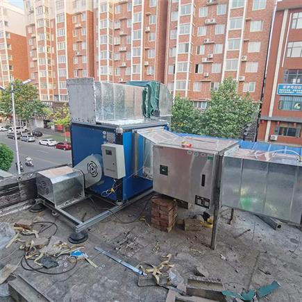 宜陽李胖子飯店油煙凈化